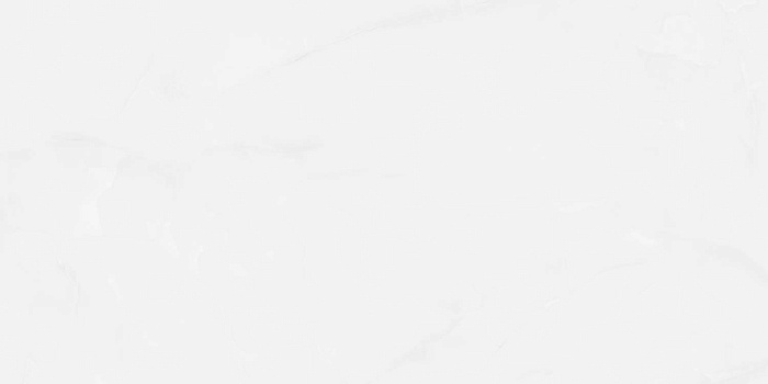 Керамогранит "Wan Sheng" Glazed (1200*600 мм) Серый D12617 — купить в Находке